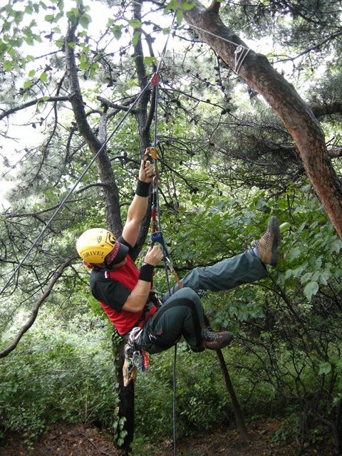 201107250905492564.jpg