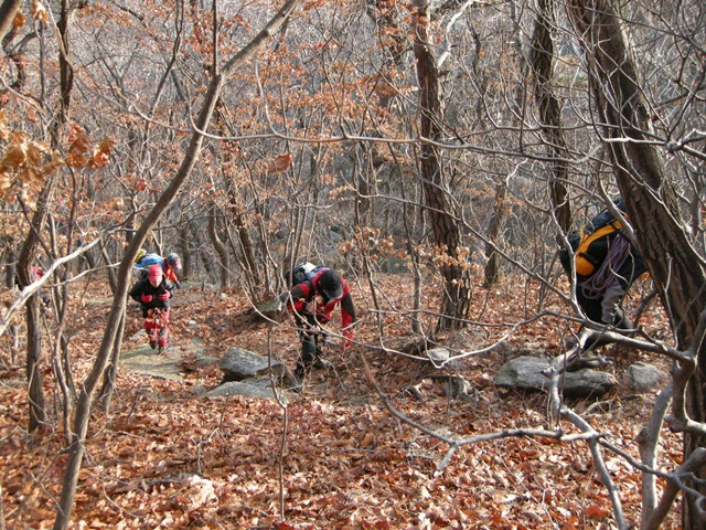 201112052348277093.jpg