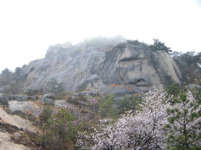 201204230113109877.jpg