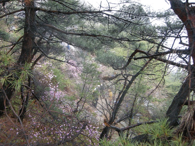 201204230113123938.jpg