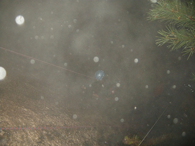 201204230121174549.jpg