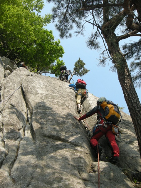 201205210052399233.jpg