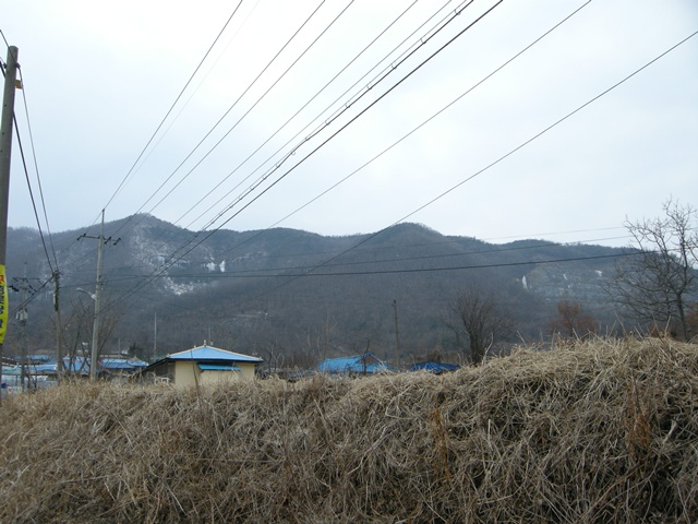 201301300727288629.jpg