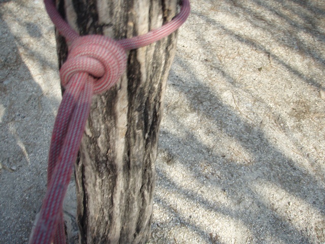 201303251409417622.jpg