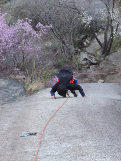 201304250752166290.jpg