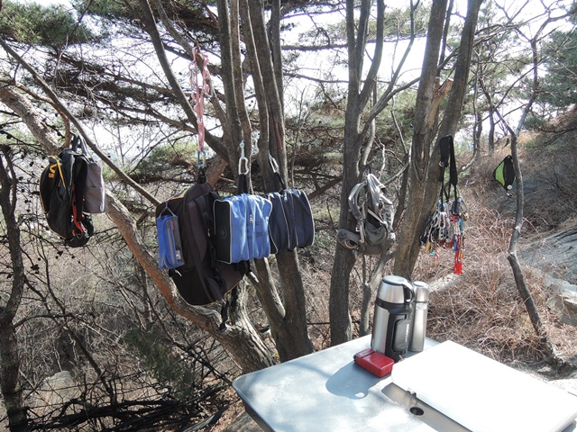 201403210025248363.jpg