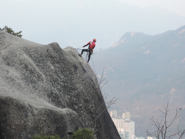 201403210026592751.jpg
