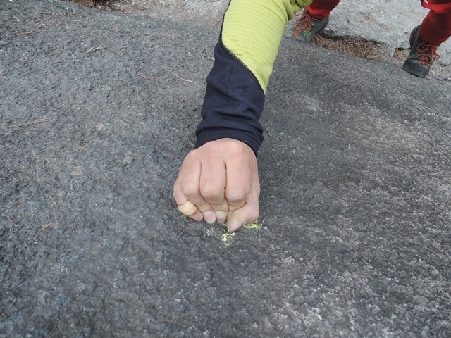 201403311333382333.jpg