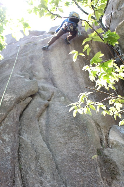 201405072210545699.jpg