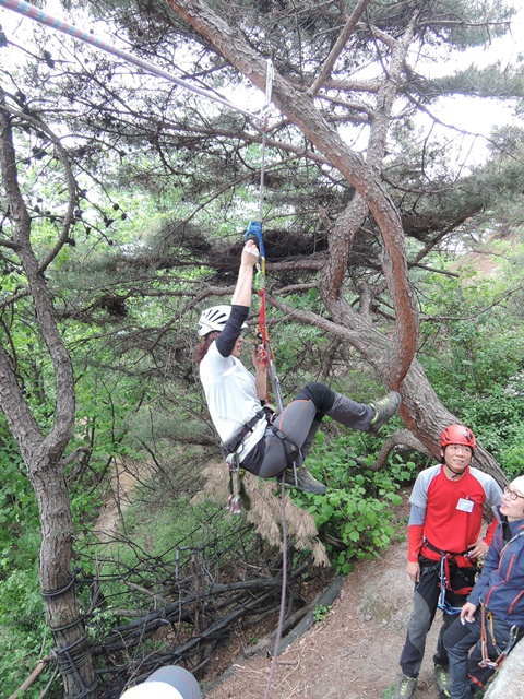 201405112248449257.jpg