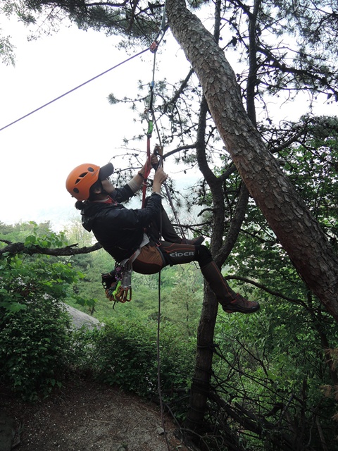 201405150024477022.jpg