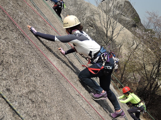 201504120732408026.jpg