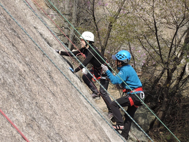 201504120732426326.jpg