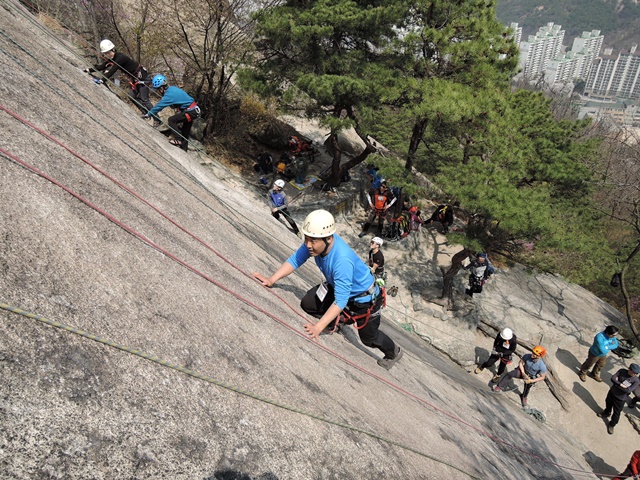 201504120732435562.jpg