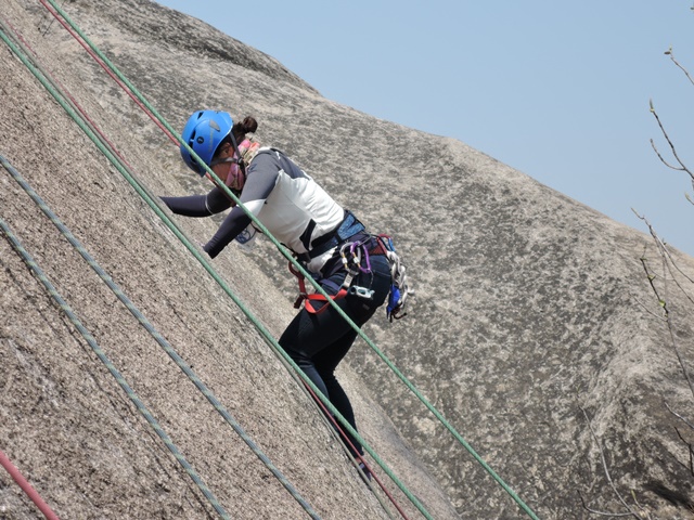 201504120732479573.jpg