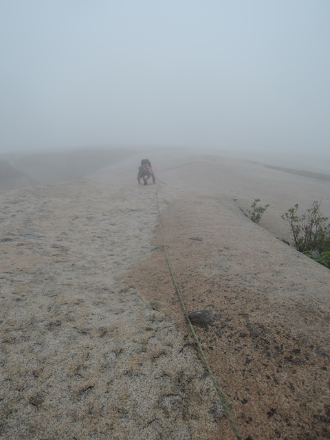 201505041215594245.jpg