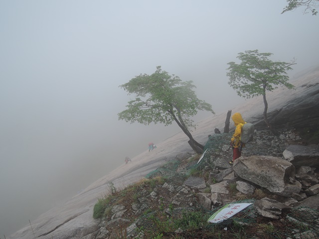 201505041216034791.jpg