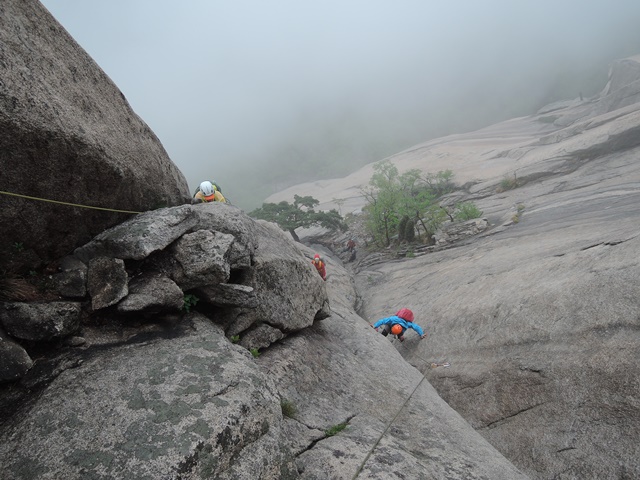 201505041216076141.jpg
