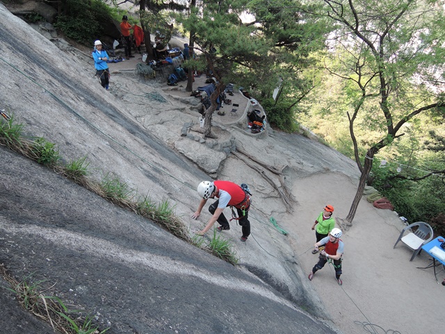 201505111100484046.jpg
