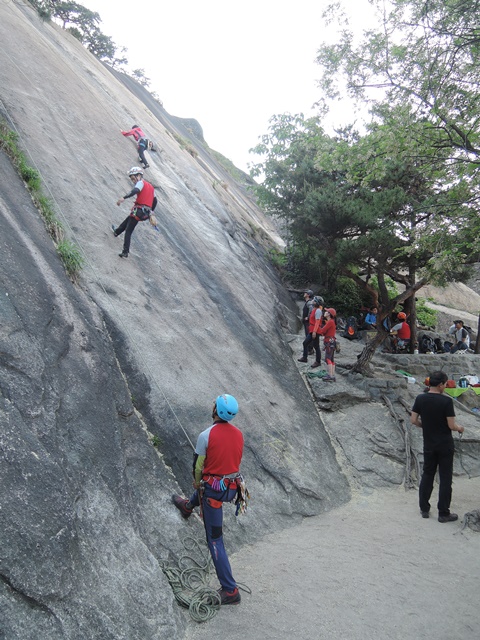 201505251102534250.jpg