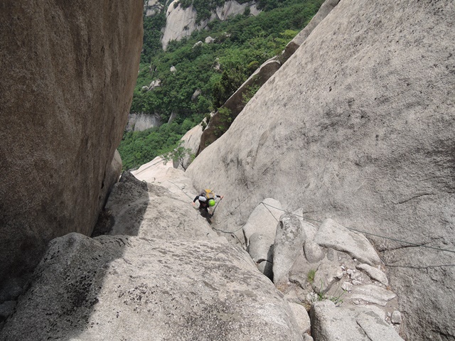 201506081653356456.jpg