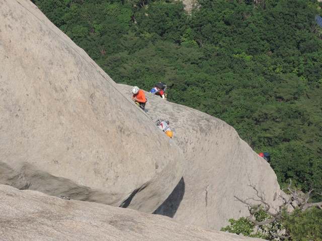 201506081653408011.jpg