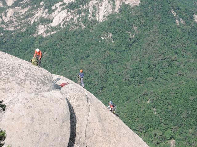 201506081653423241.jpg