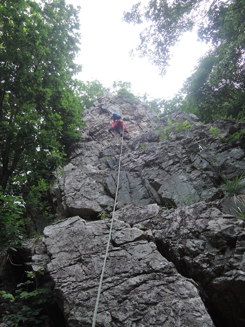 201506251118131784.jpg