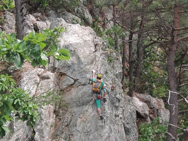 201506251118241203.jpg