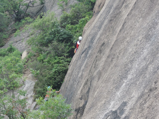201507060544572561.jpg