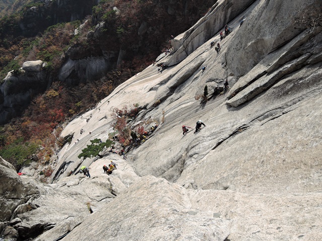 201510260953288034.jpg