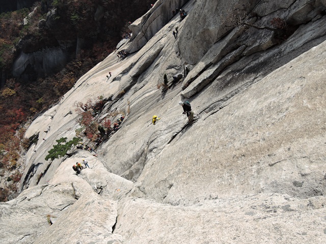 201510260953305585.jpg