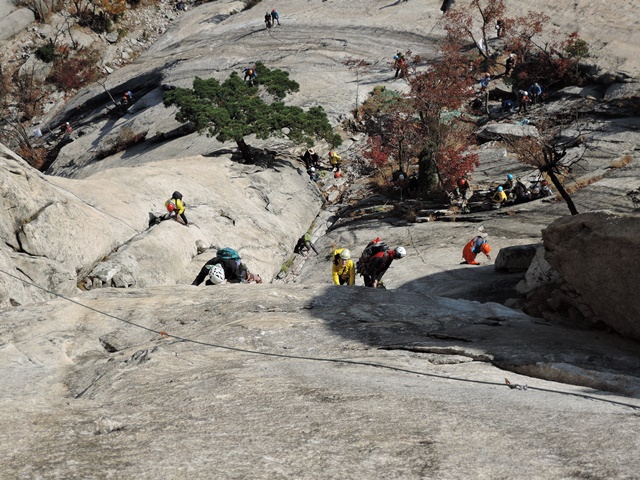 201510260953330578.jpg