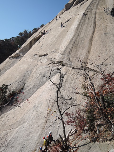 201510260953405181.jpg