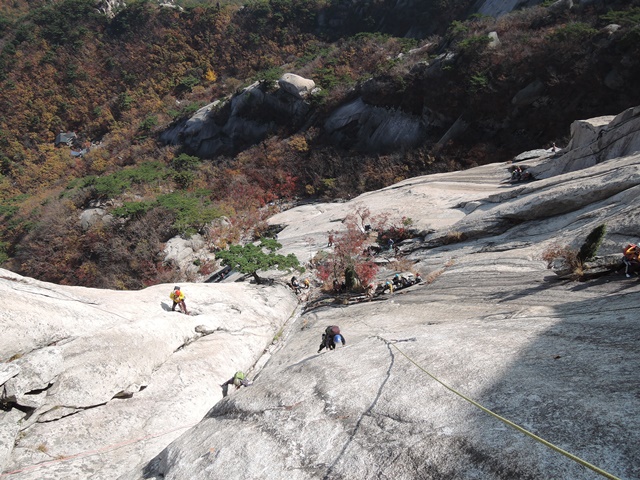 201510260953460488.jpg