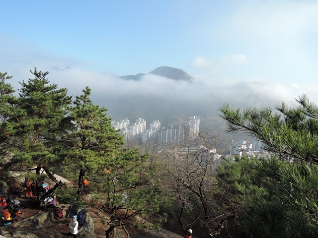 201511152301418252.jpg