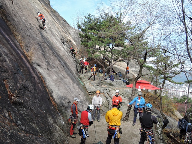 201511152301441727.jpg