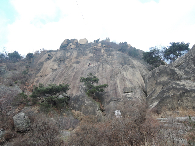 201601011658358017.jpg