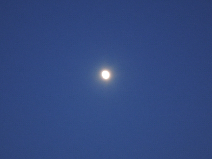 741d45b15fdf49a323454f179a206301_1481511