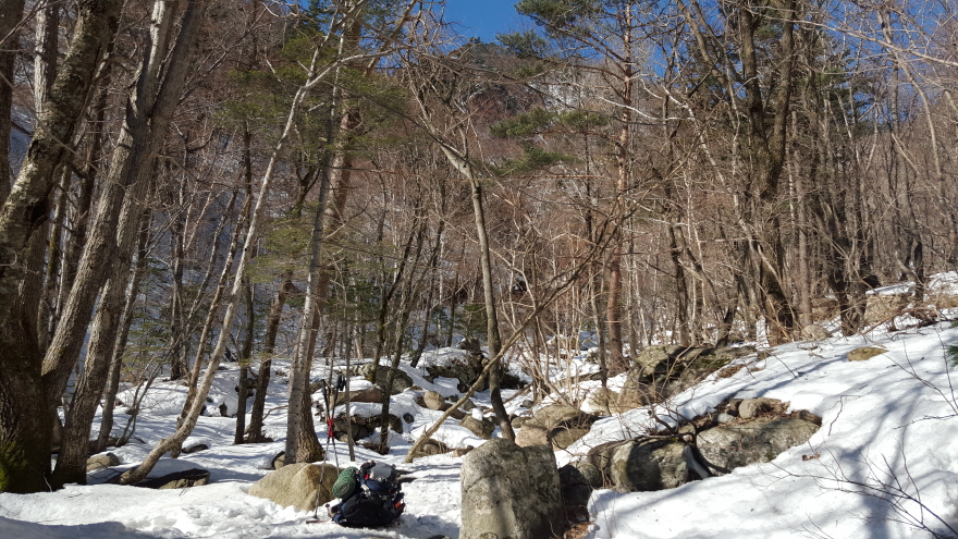 279fe0d87b52af8b320618d120853c95_1487684