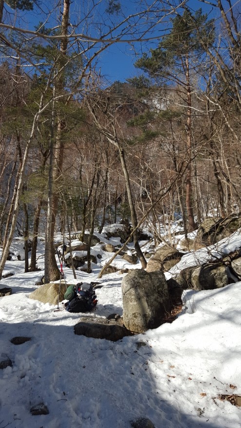 279fe0d87b52af8b320618d120853c95_1487684