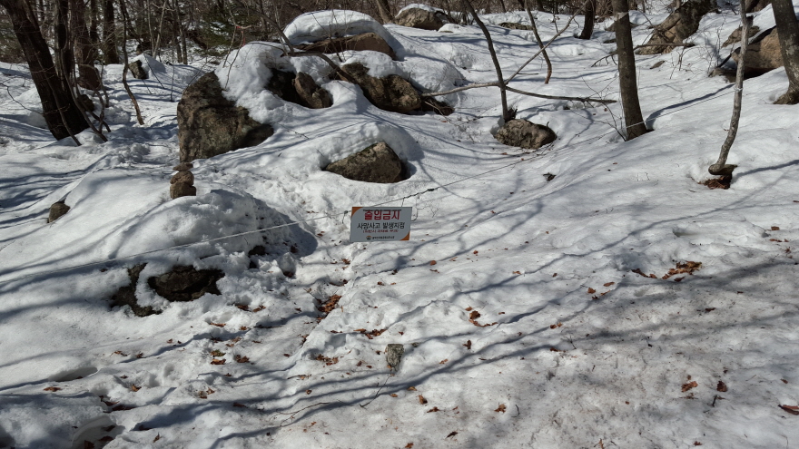 279fe0d87b52af8b320618d120853c95_1487684