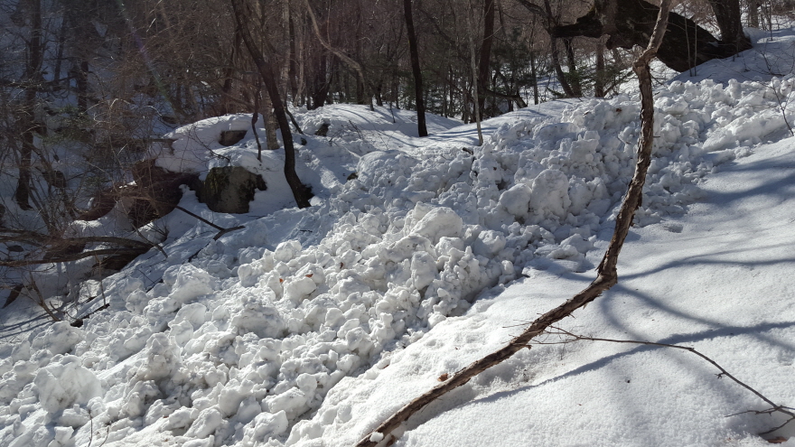 279fe0d87b52af8b320618d120853c95_1487684