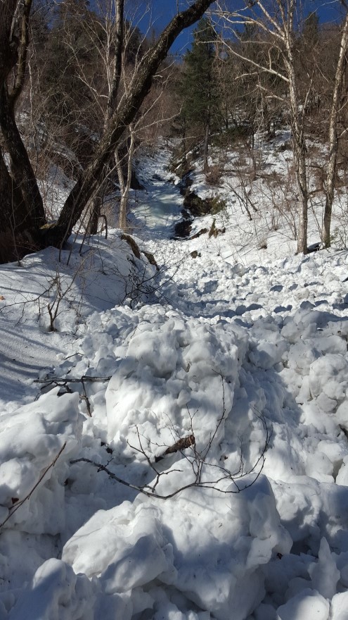 279fe0d87b52af8b320618d120853c95_1487684