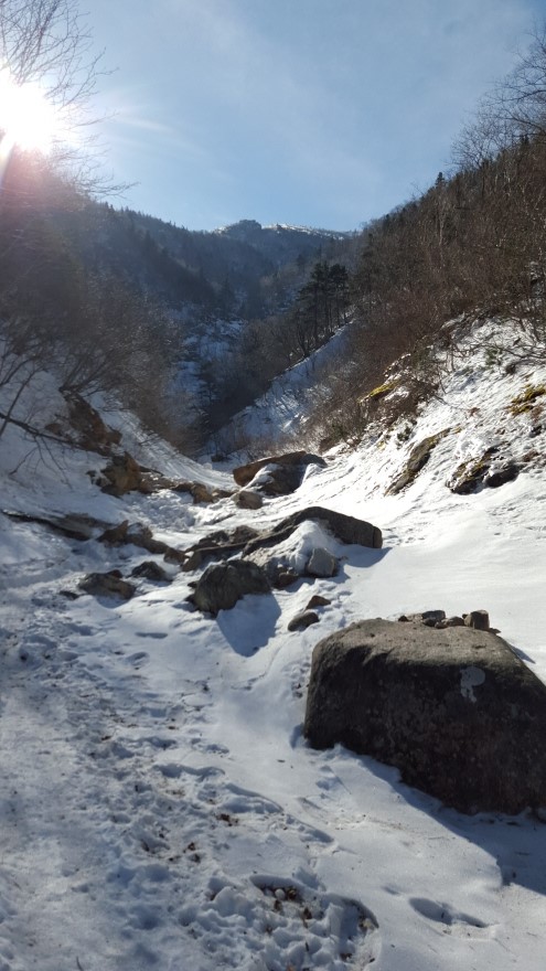 279fe0d87b52af8b320618d120853c95_1487684