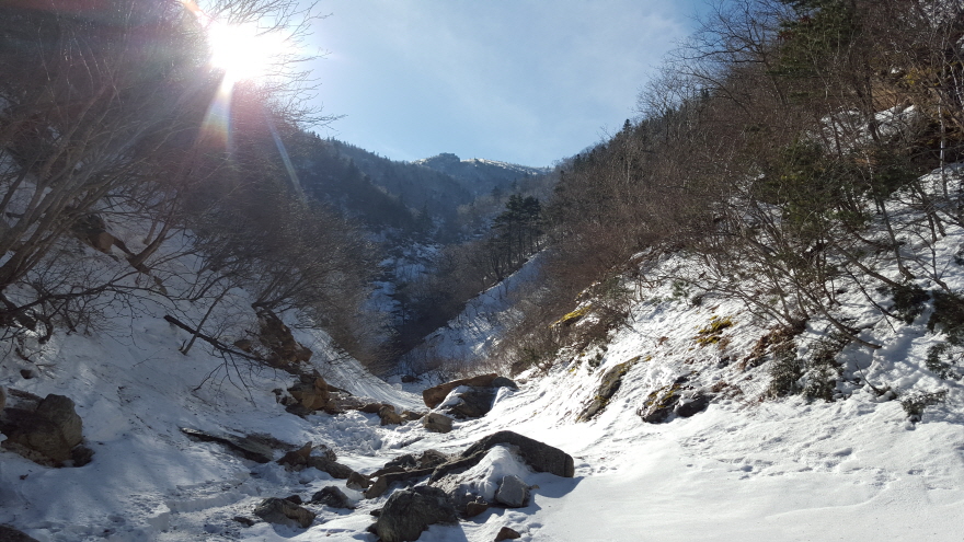 279fe0d87b52af8b320618d120853c95_1487684