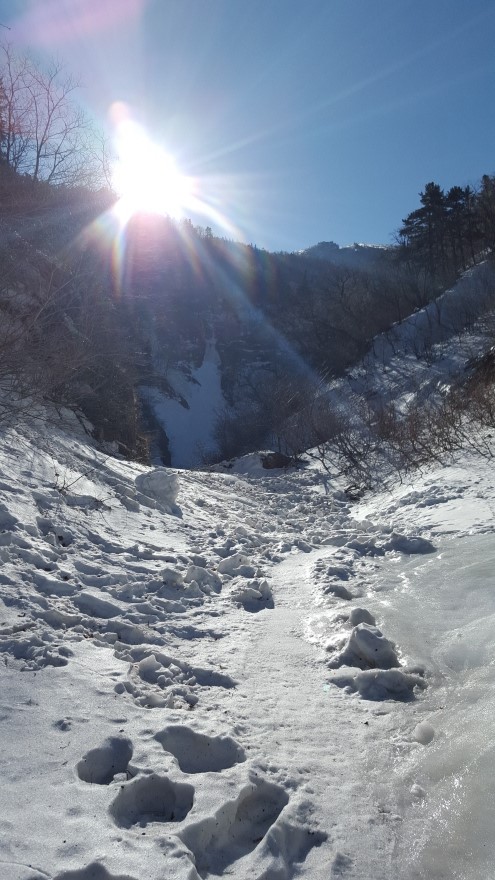 279fe0d87b52af8b320618d120853c95_1487684