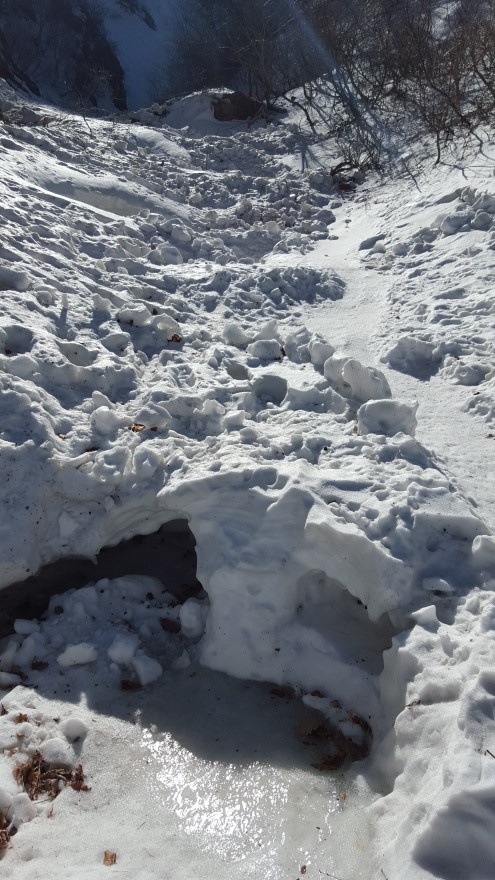 279fe0d87b52af8b320618d120853c95_1487684