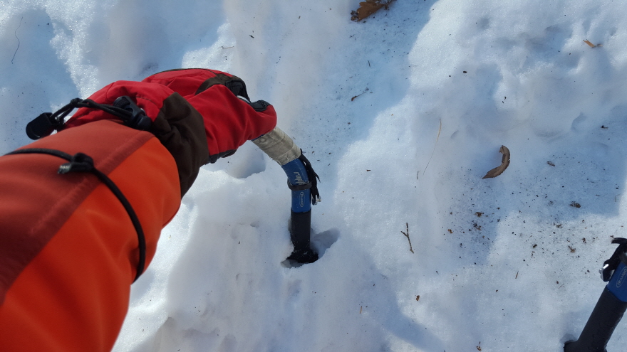 279fe0d87b52af8b320618d120853c95_1487684