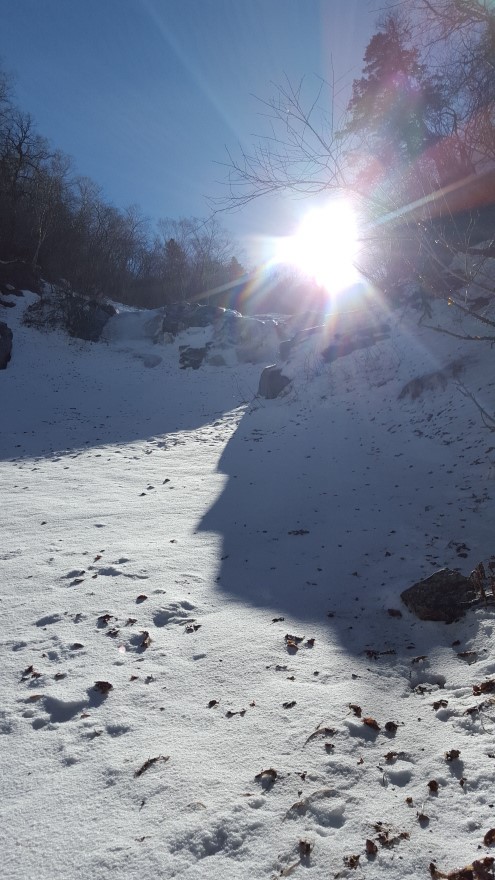 279fe0d87b52af8b320618d120853c95_1487684